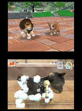 Скриншот из игры Nintendogs: Best Friends - 2