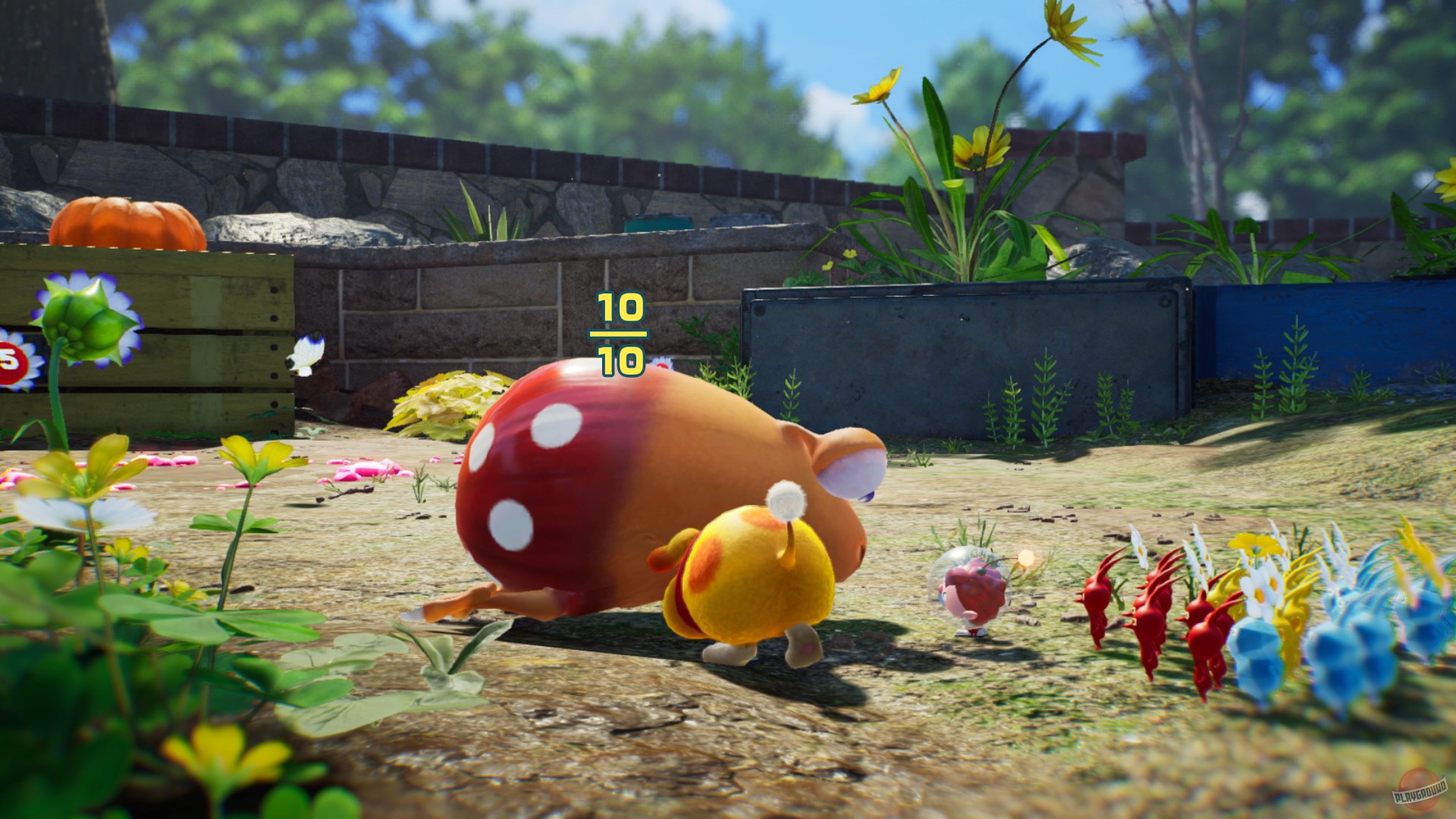 Скриншот из игры Pikmin 4 - 55