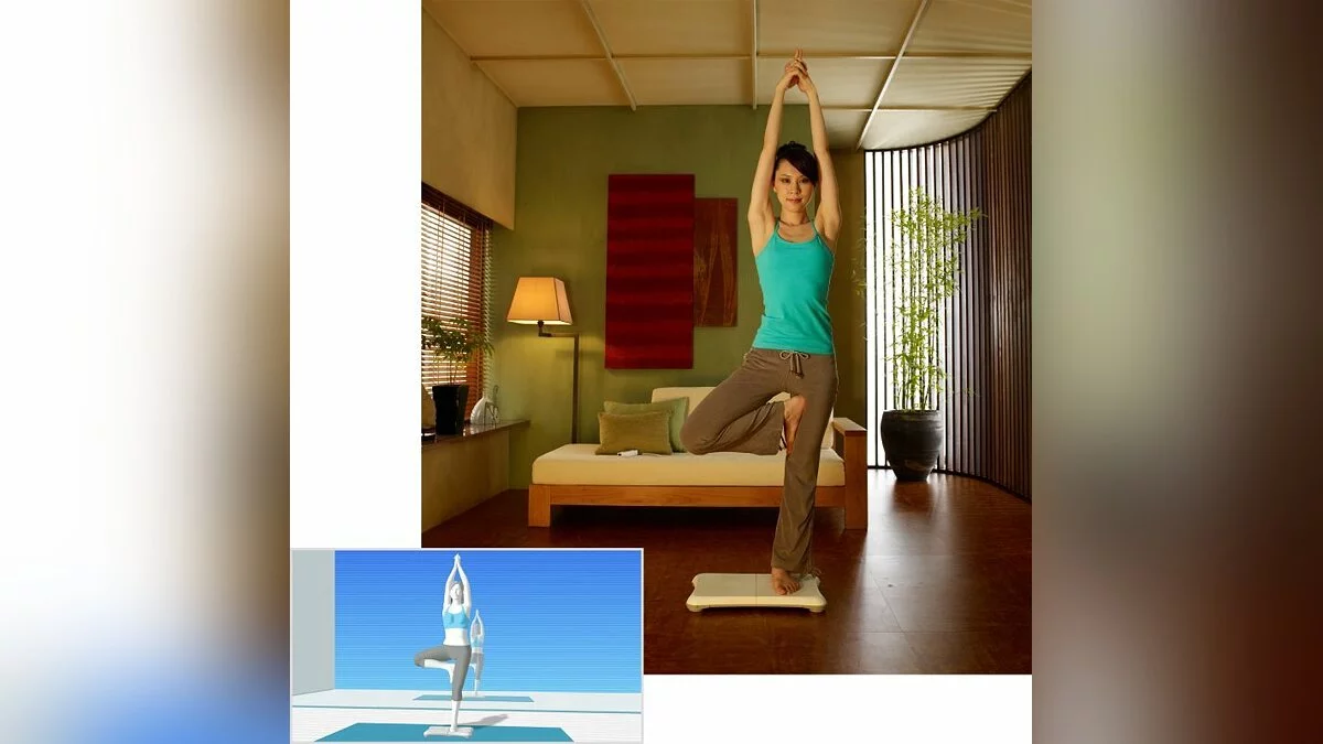 Скриншот из игры Wii Fit - 9