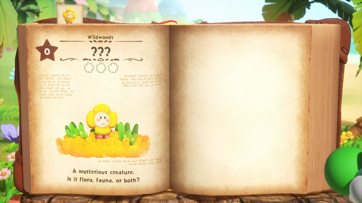 Скриншот из игры Yoshi and the Mysterious Book - 12