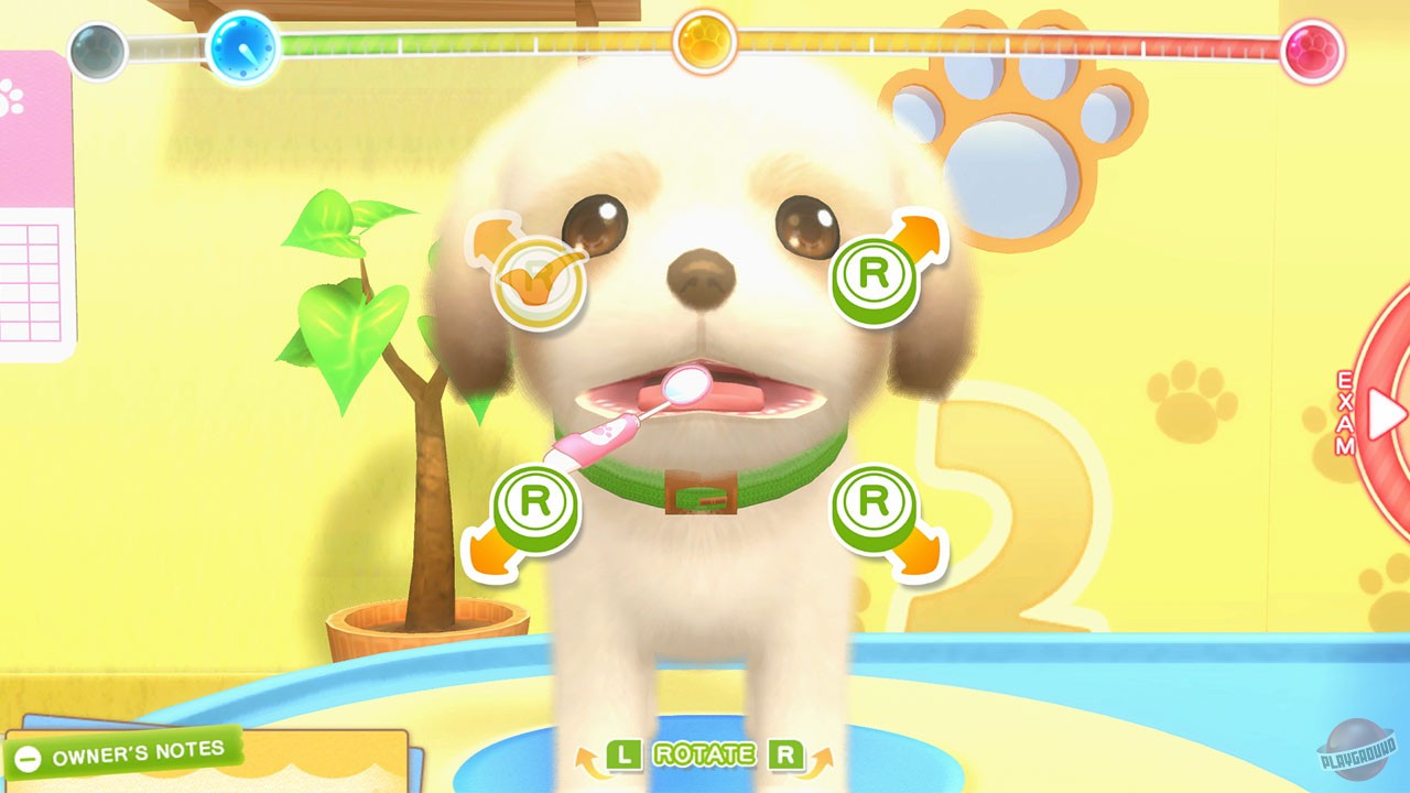 Скриншот из игры Pups & Purrs: Animal Hospital - 14