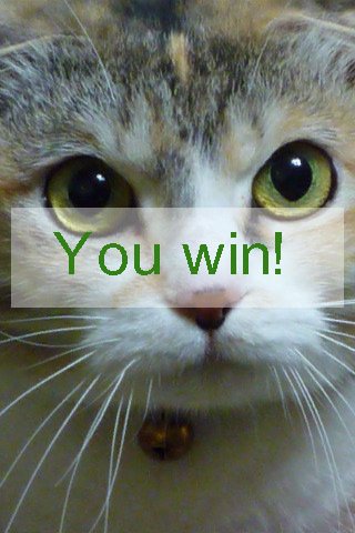 Скриншот из игры The Adventures of Skew - 3