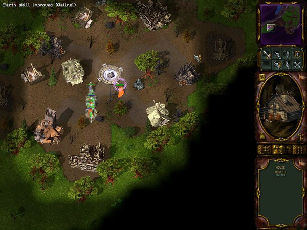 Скриншот из игры Rage of Mages 2: Necromancer - 1