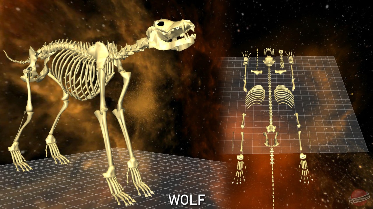 Скриншот из игры World of Guns: Gun Disassembly - 135