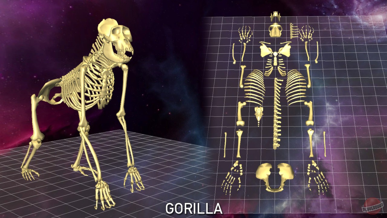 Скриншот из игры World of Guns: Gun Disassembly - 131