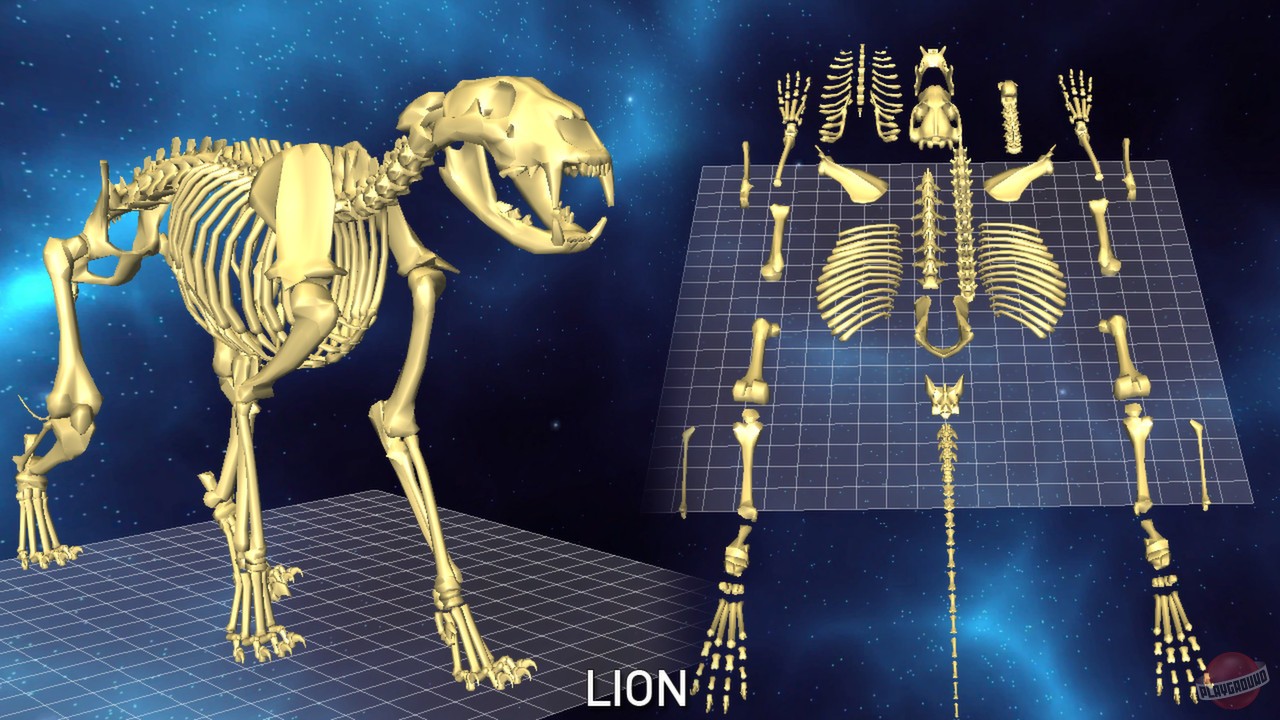 Скриншот из игры World of Guns: Gun Disassembly - 64