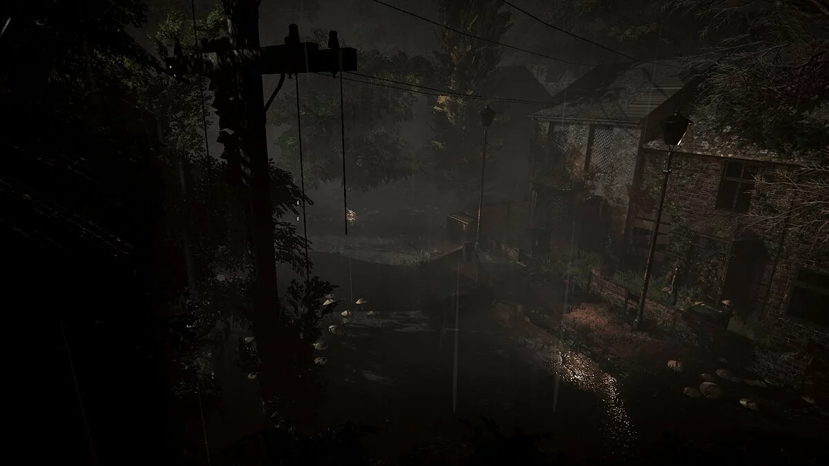 Скриншот из игры Summerford - 20