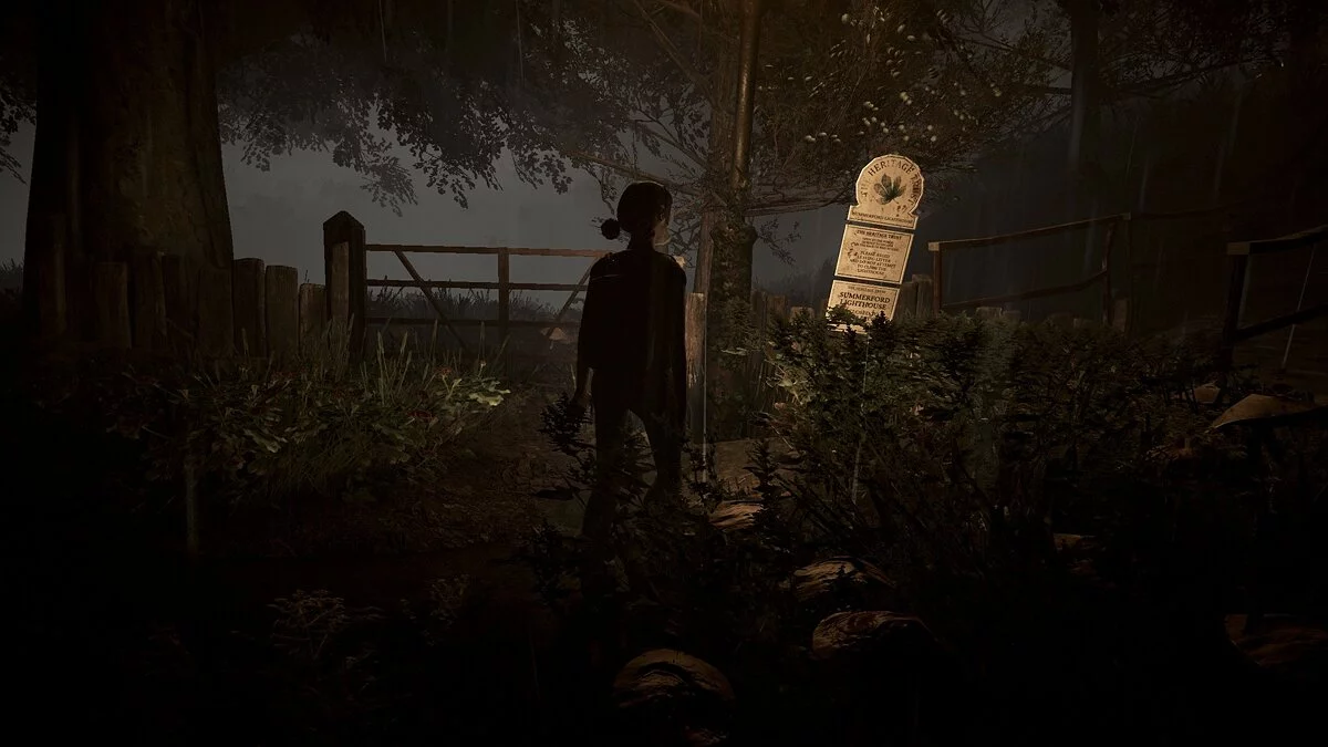 Скриншот из игры Summerford - 19