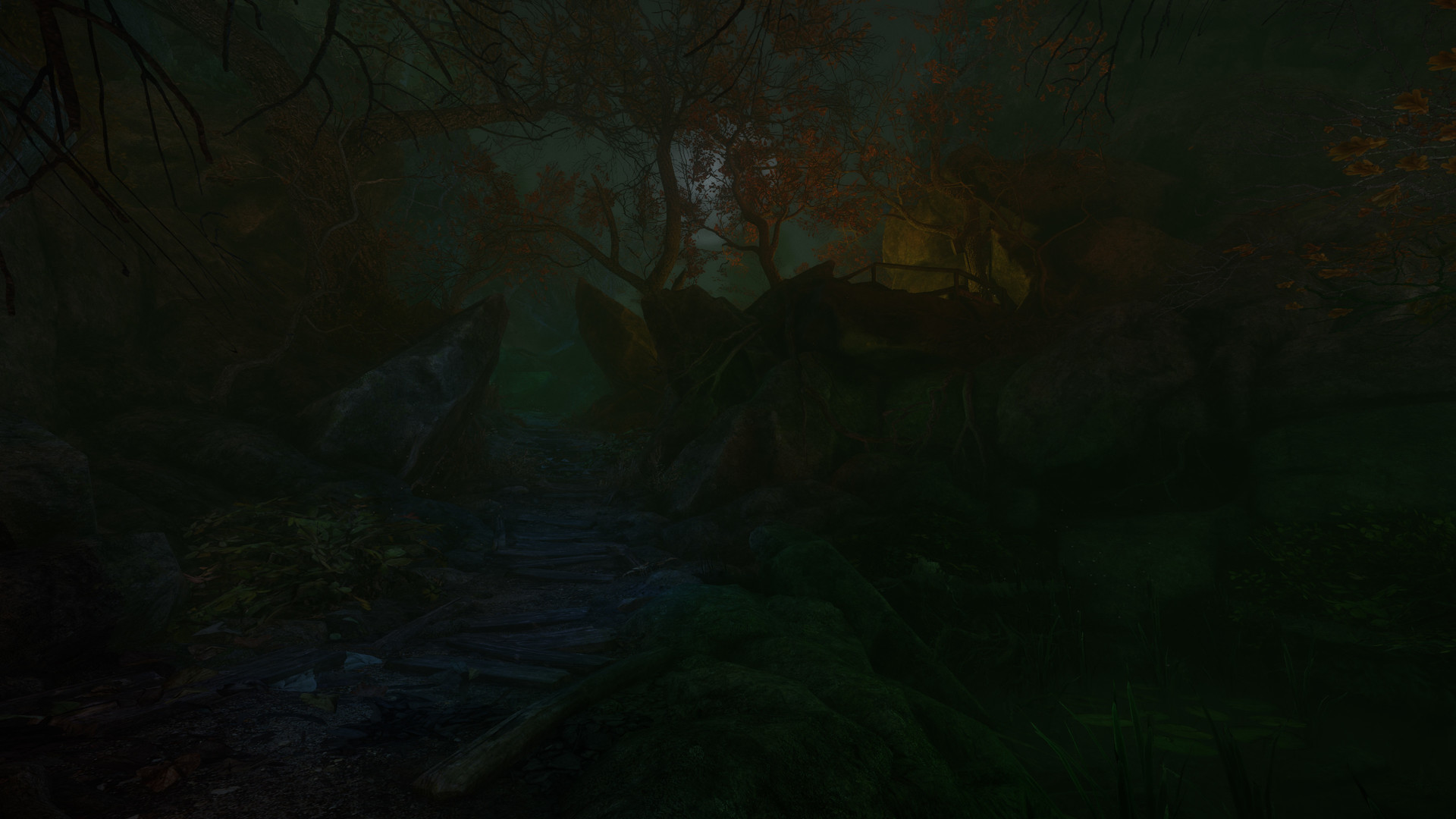 Скриншот из игры The Cursed Forest - 34