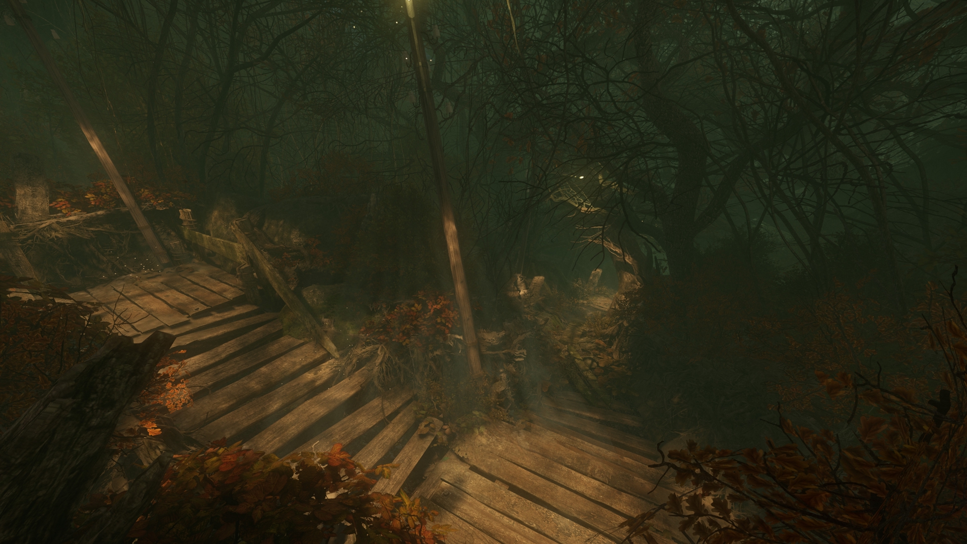 Скриншот из игры The Cursed Forest - 9