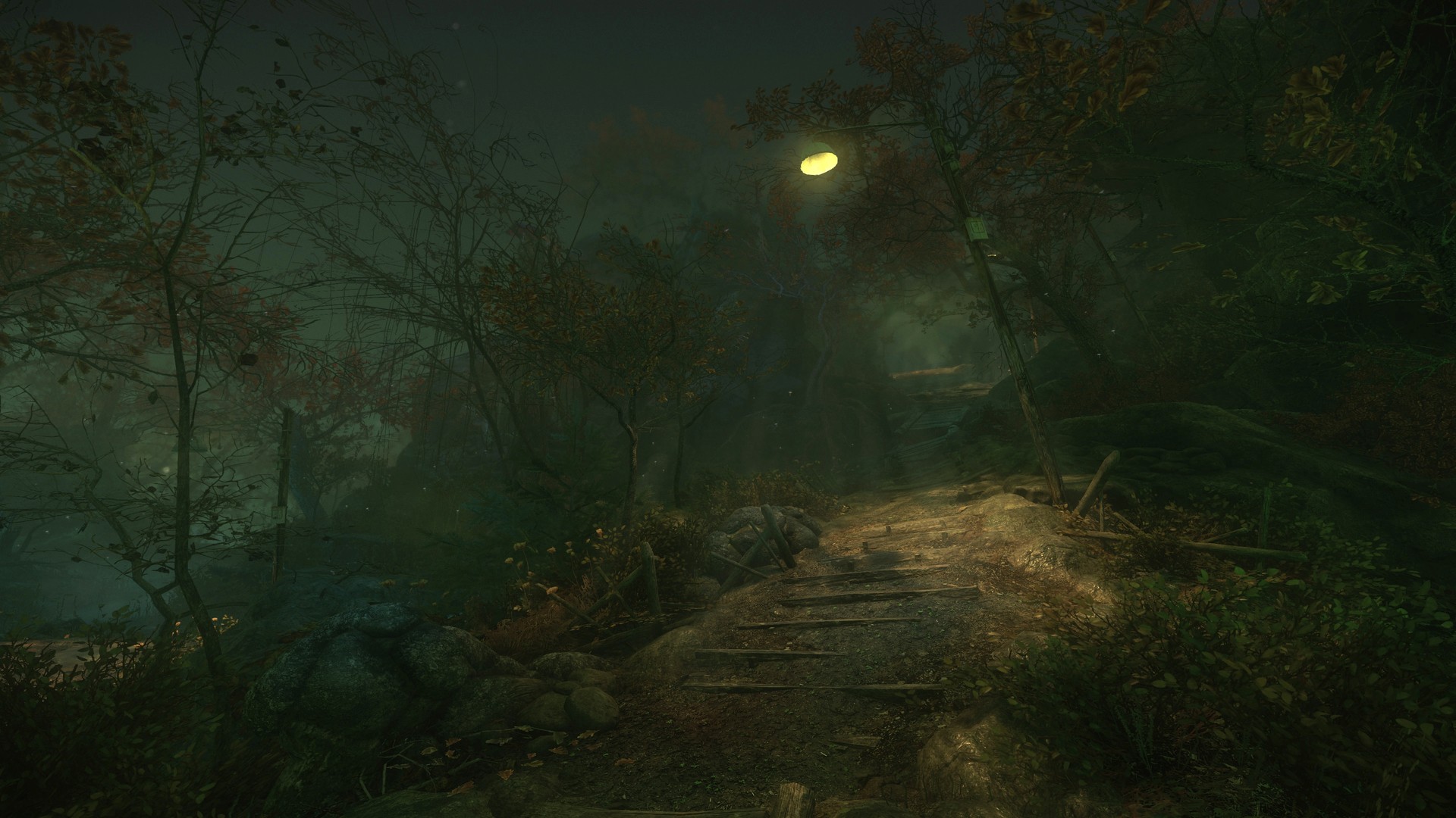 Скриншот из игры The Cursed Forest - 18