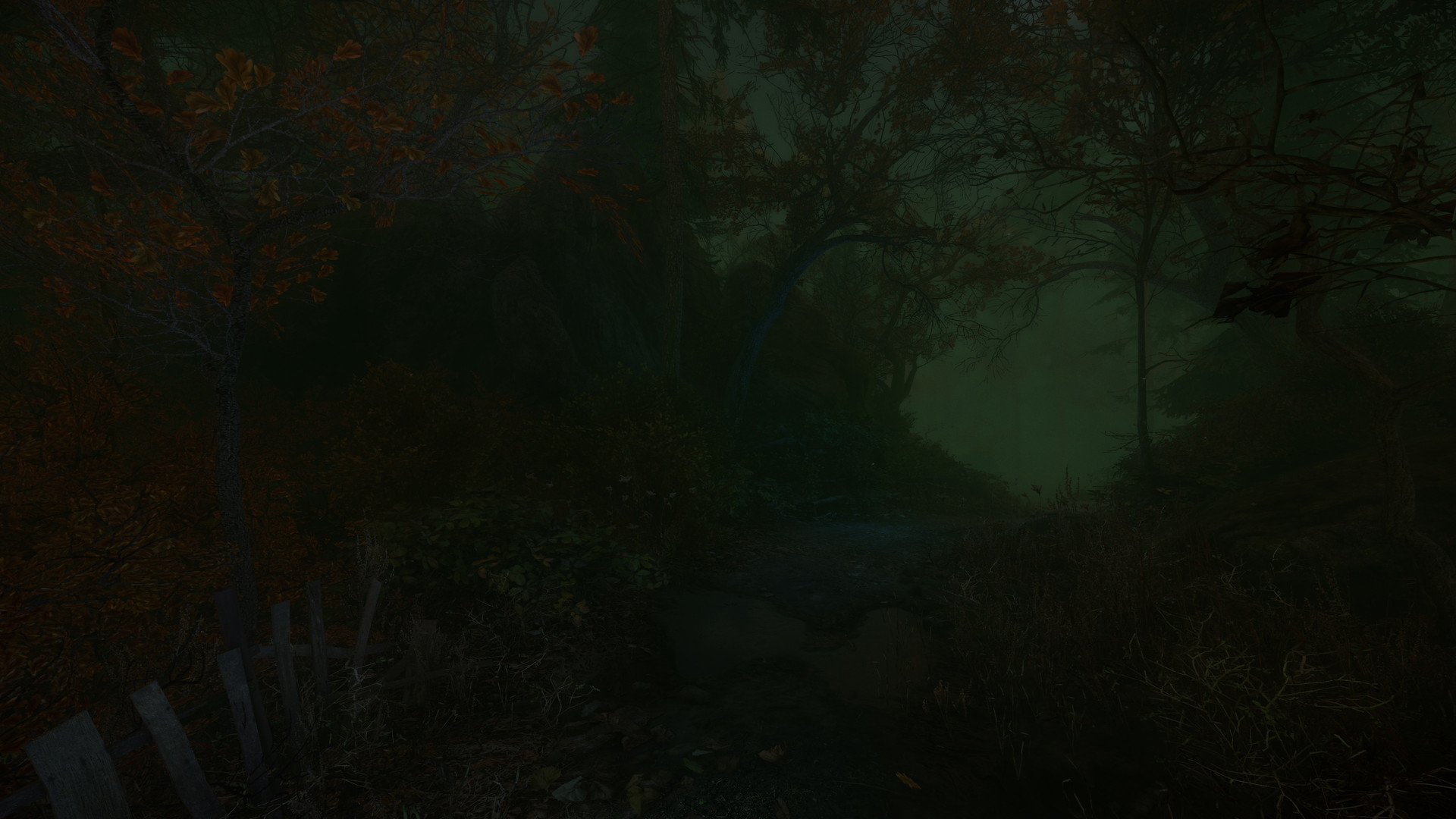 Скриншот из игры The Cursed Forest - 13