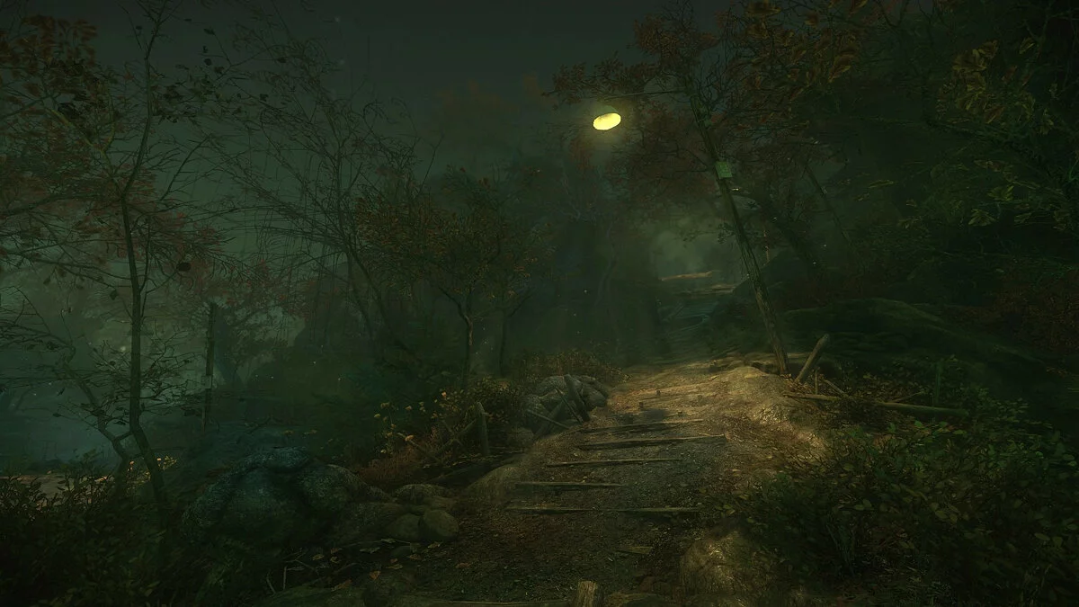 Скриншот из игры The Cursed Forest - 32