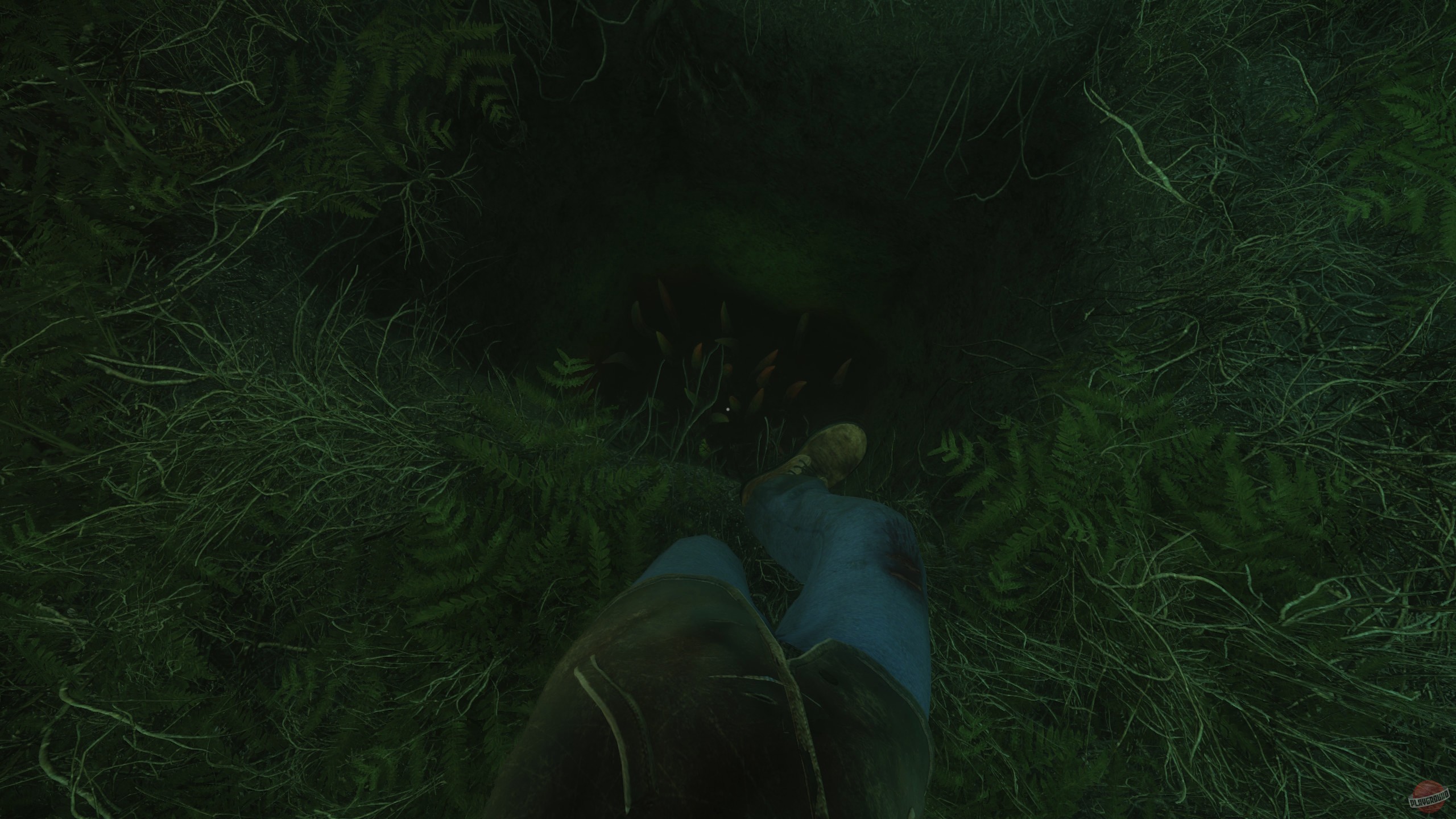 Скриншот из игры The Cursed Forest - 51