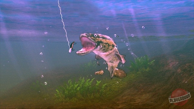 Скриншот из игры Rapala for Kinect - 3