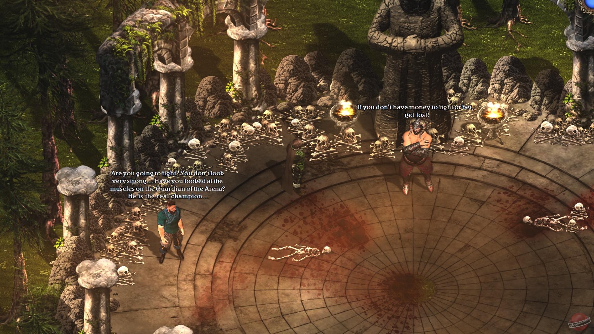 Скриншот из игры Lord of Xulima - 5