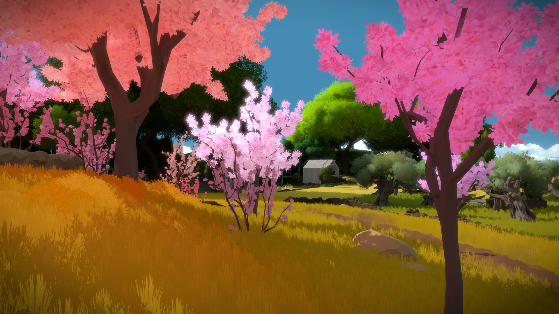 Скриншот из игры The Witness - 137
