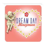 Обложка игры Мечты сбываются: Медовый месяц