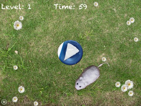 Скриншот из игры Cat-chy - 2