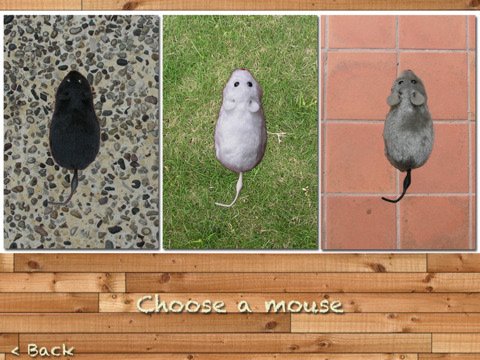 Скриншот из игры Cat-chy - 3