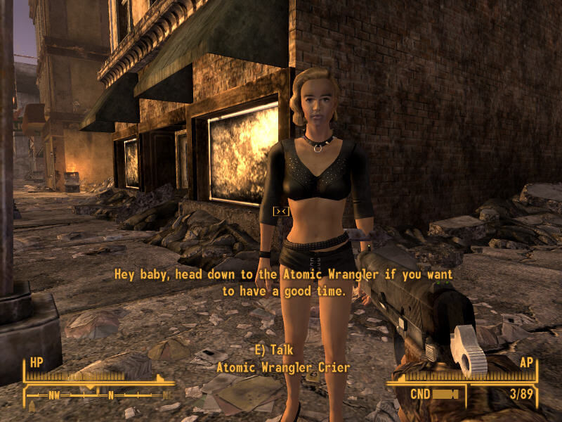 Скриншот из игры Fallout: New Vegas - 56