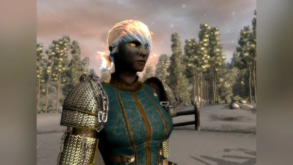 Скриншот из игры Neverwinter Nights 2: Mask of the Betrayer - 27