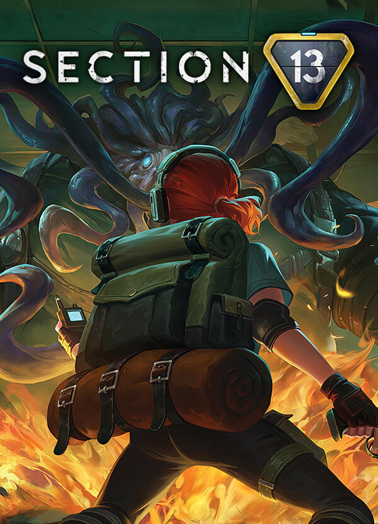 Обложка игры Section 13