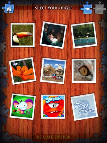 Скриншот из игры Padzzle - 1