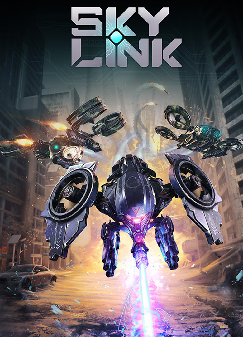 Обложка игры Sky Link
