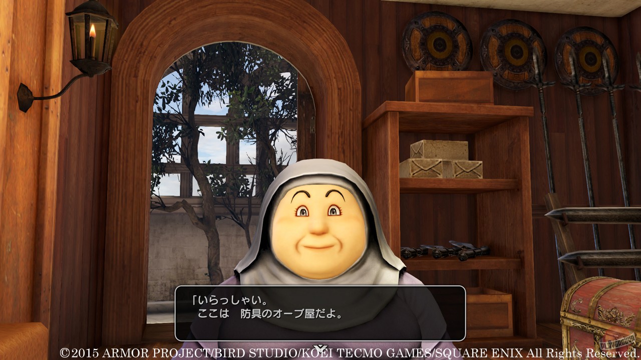 Скриншот из игры Dragon Quest Heroes - 98