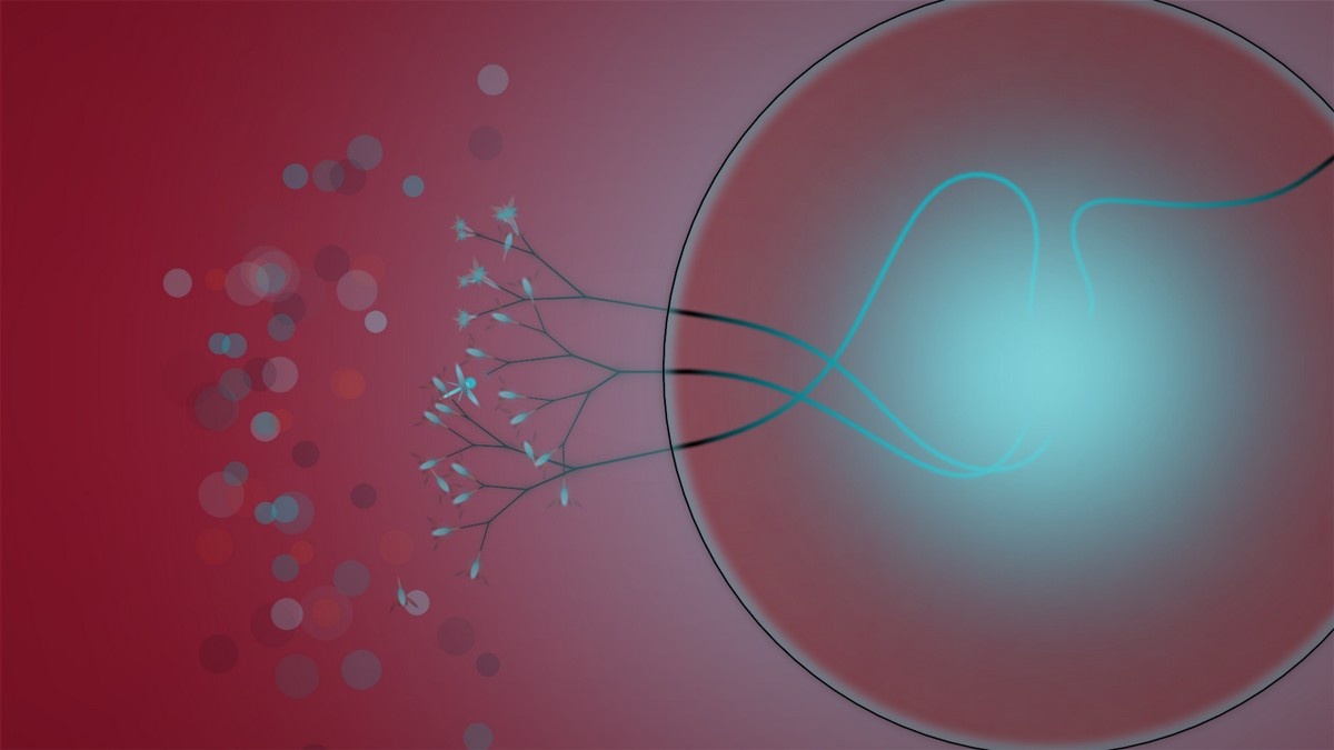 Скриншот из игры Eufloria - 26