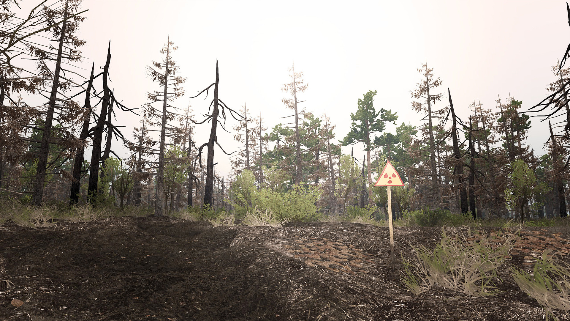 Скриншот из игры Spintires: Chernobyl - 19
