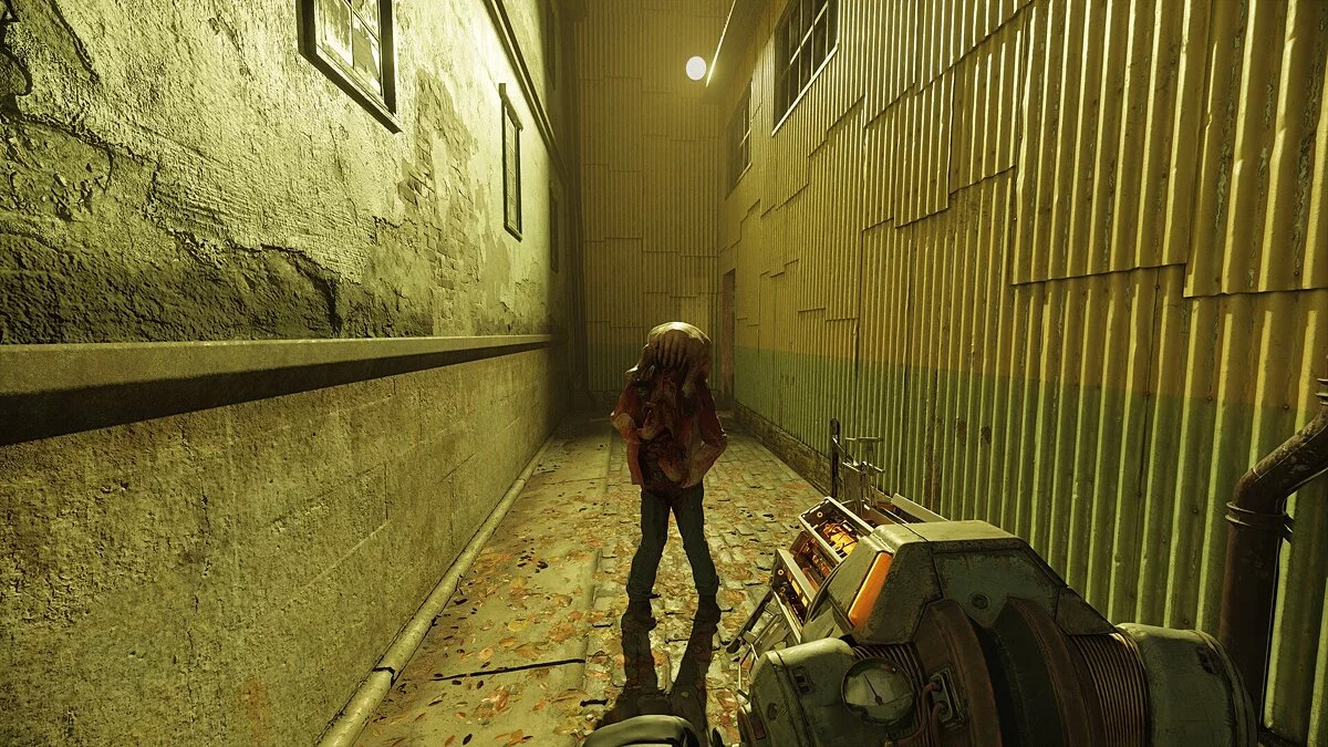 Скриншот из игры Half-Life 2 RTX - 30