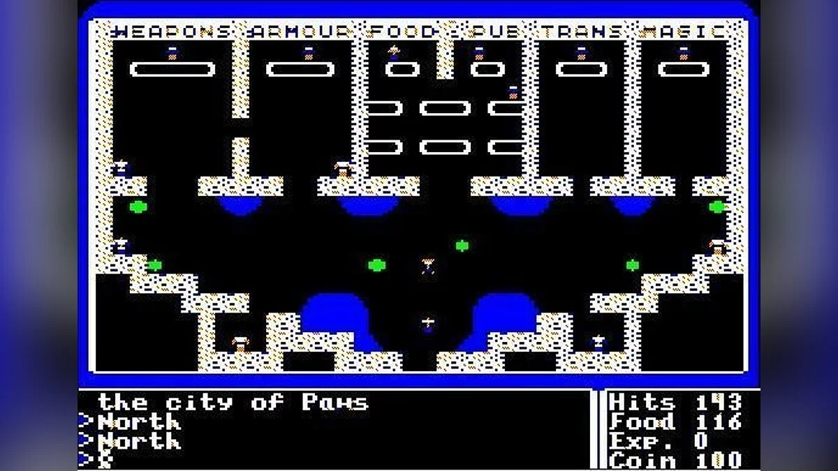 Скриншот из игры Ultima 1: The First Age of Darkness - 2