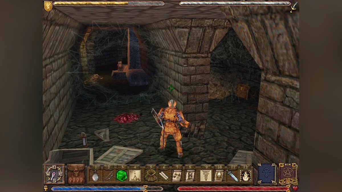 Скриншот из игры Ultima 9: Ascension - 15