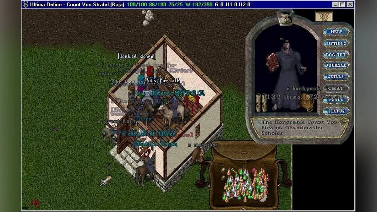 Скриншот из игры Ultima Online - 12