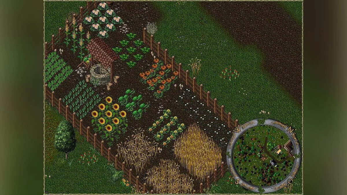 Скриншот из игры Ultima Online - 10