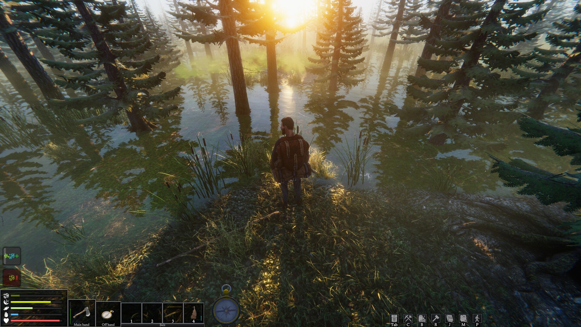 Скриншот из игры The Last Plague: Blight - 13