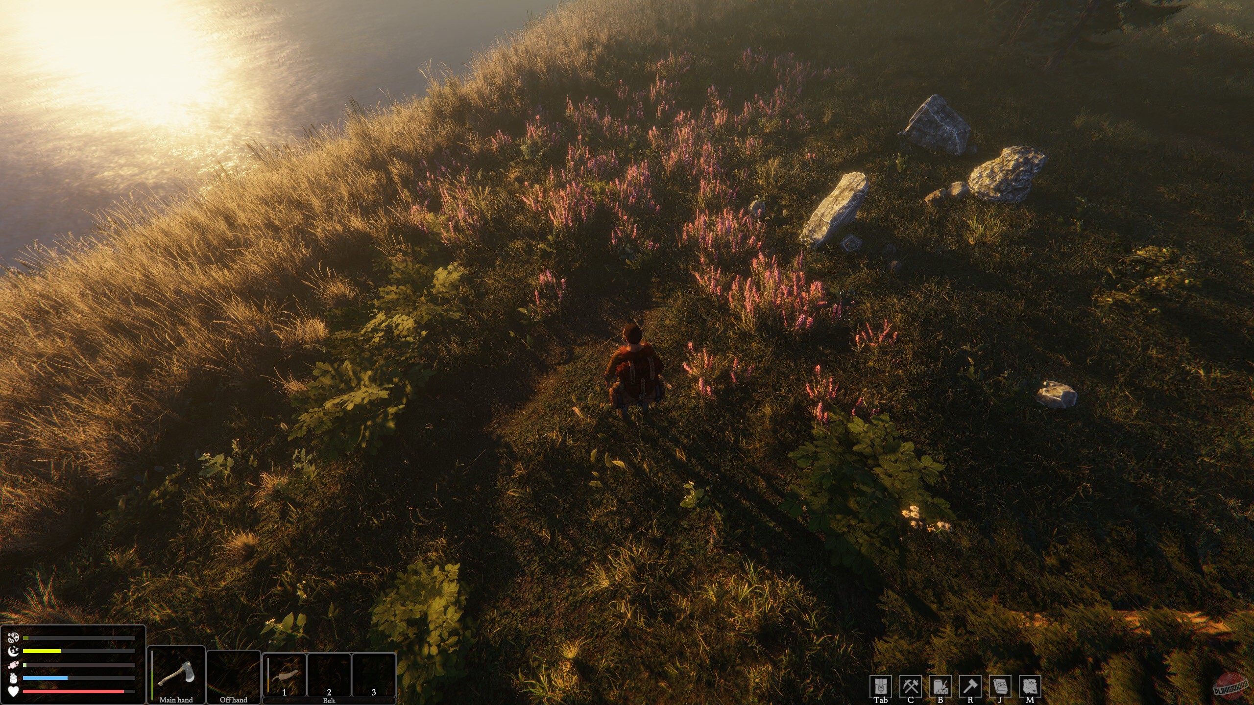 Скриншот из игры The Last Plague: Blight - 3