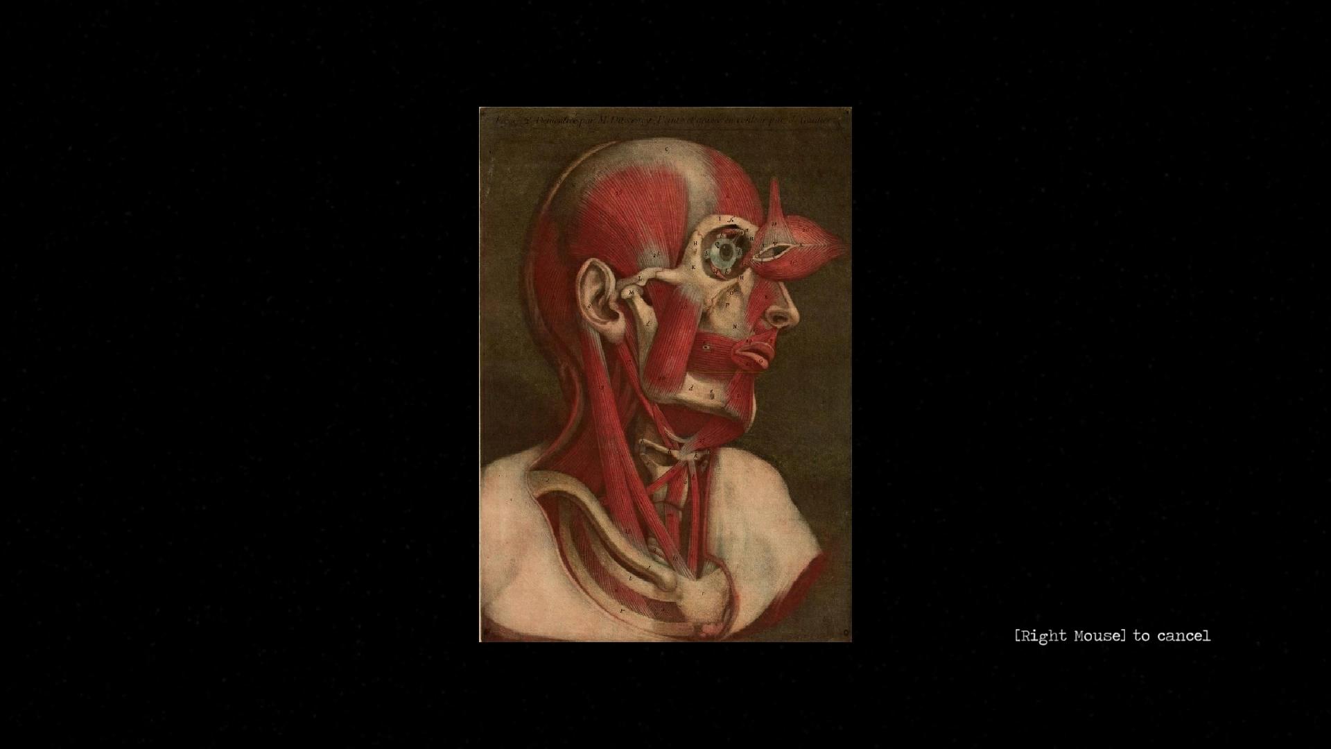 Скриншот из игры NORTH - 20