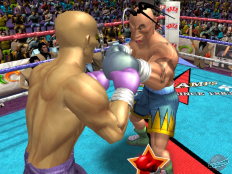 Скриншот из игры Heavyweight Thunder - 3