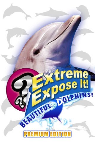 Скриншот из игры Beautiful Dolphins!: Extreme Expose It! - 3