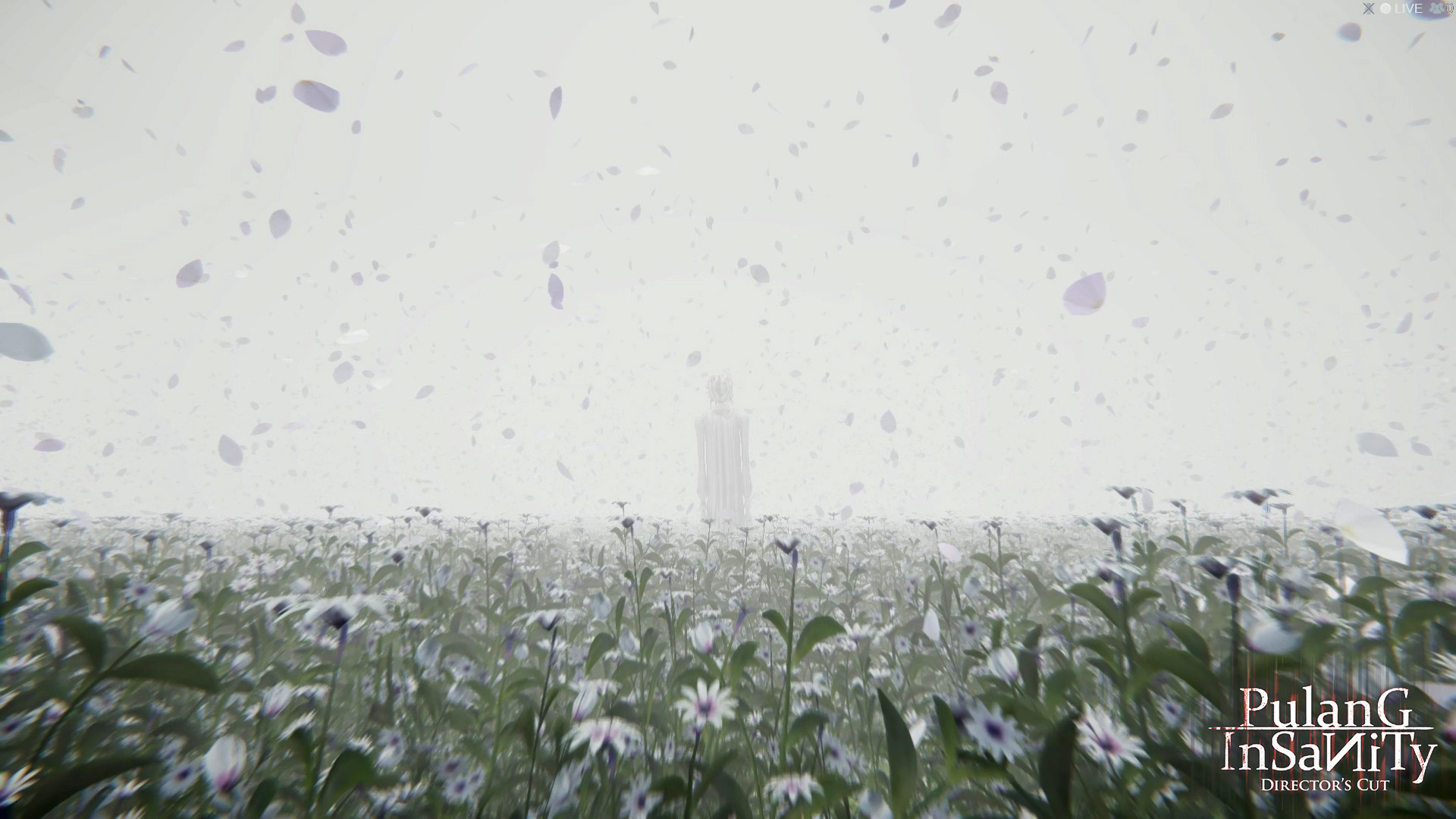 Скриншот из игры Pulang:Insanity - 19