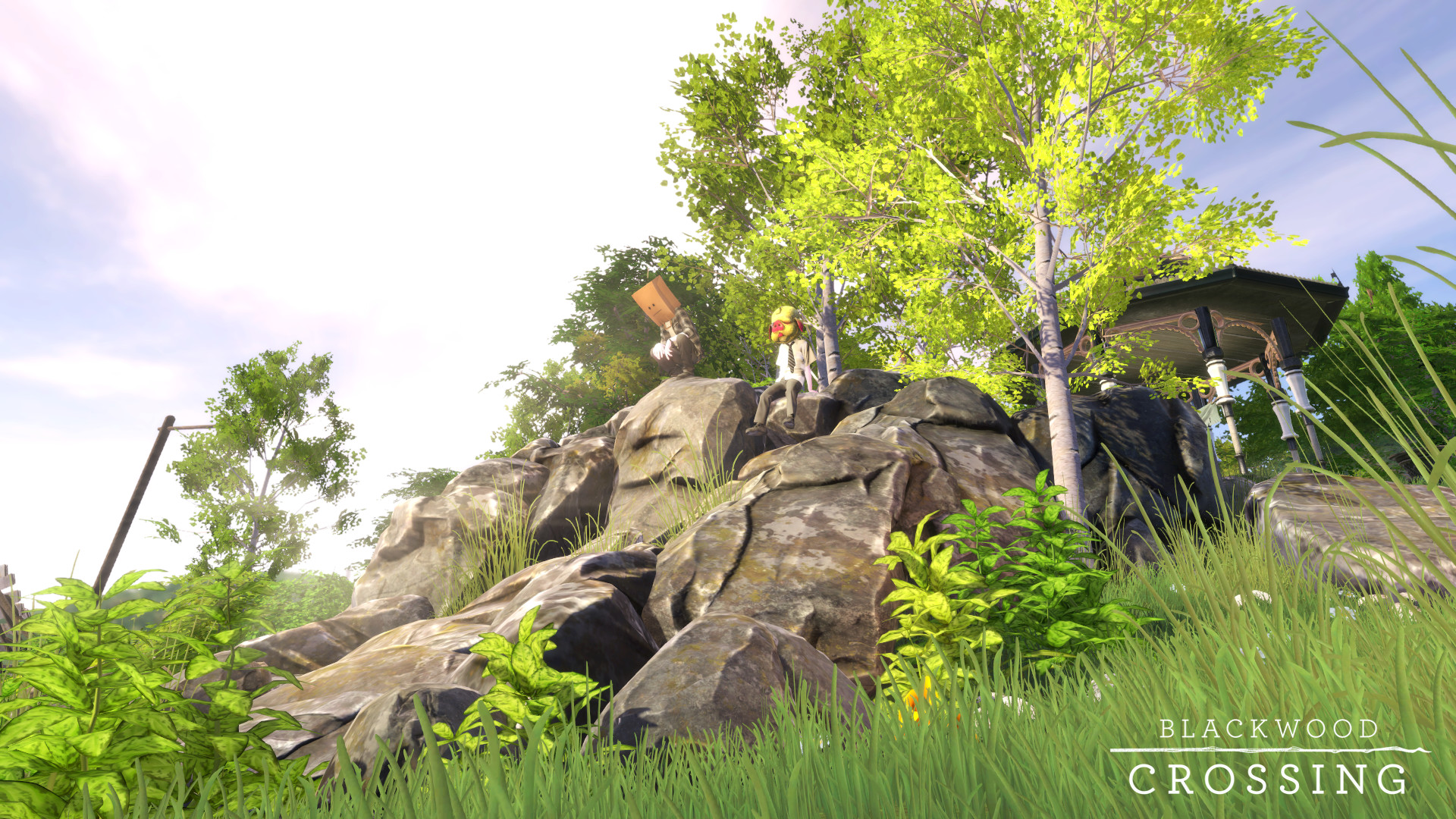 Скриншот из игры Blackwood Crossing - 33