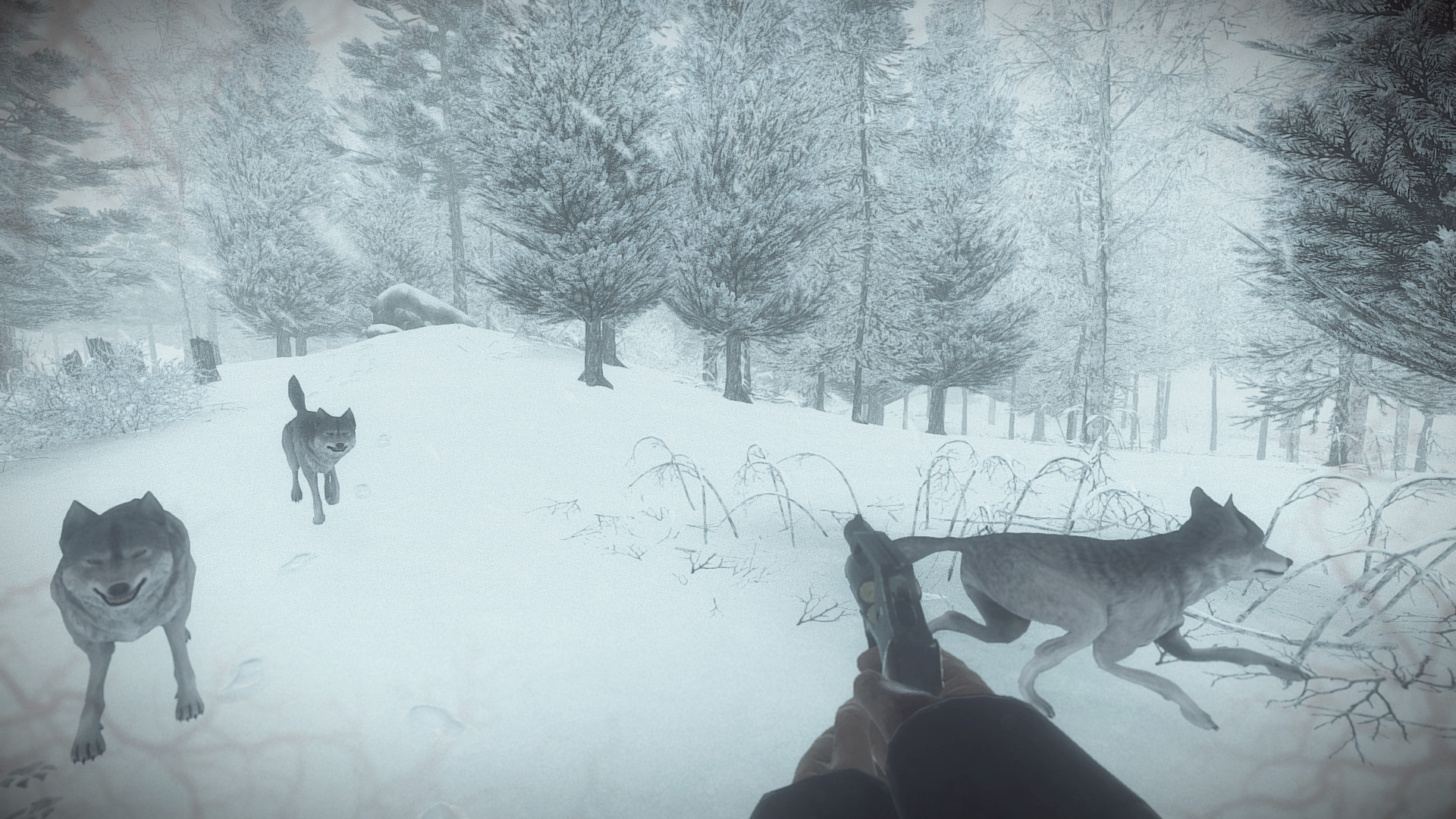 Скриншот из игры Kona - 56