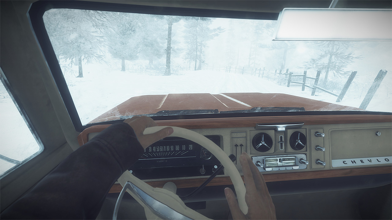 Скриншот из игры Kona - 74