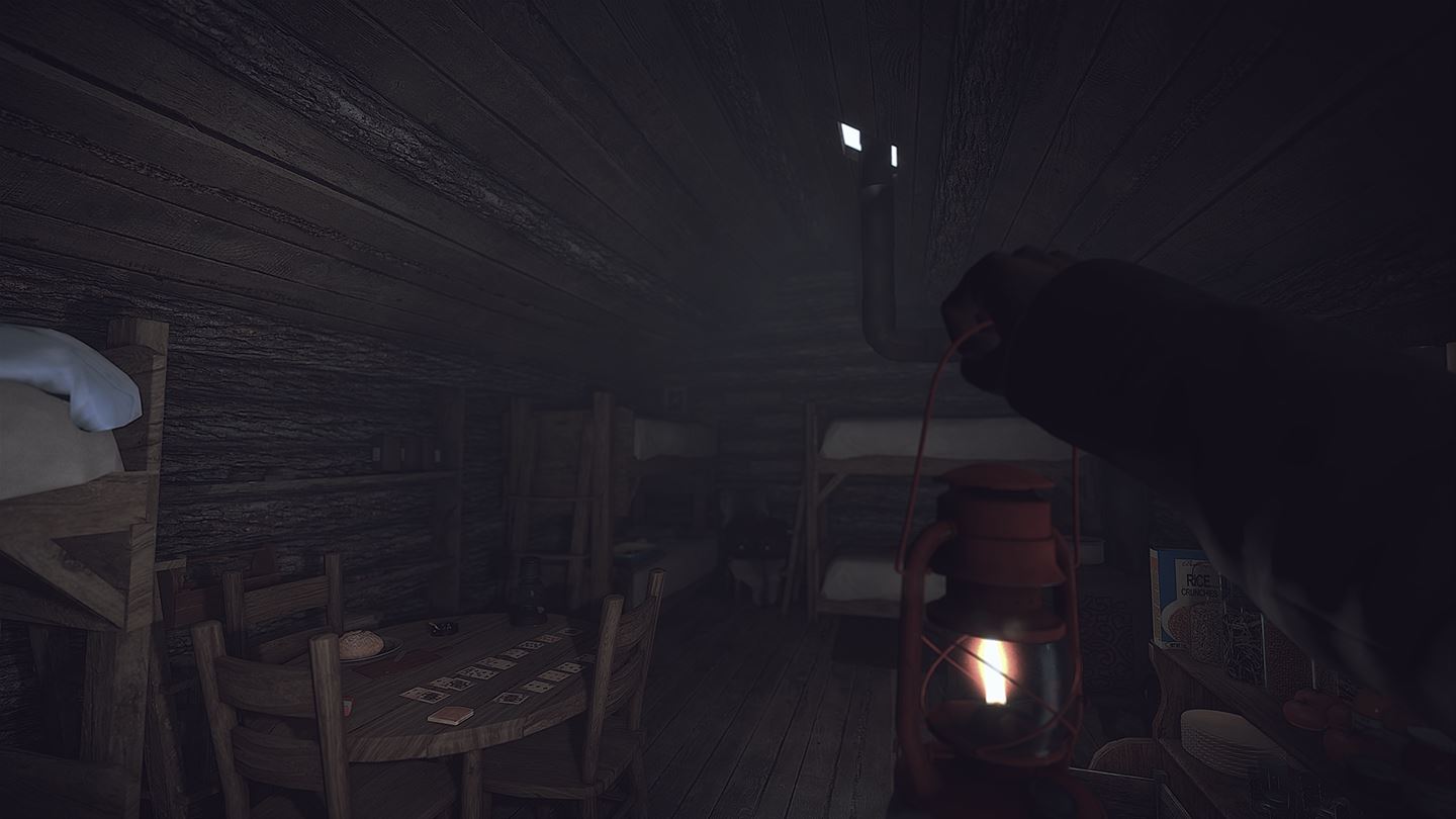 Скриншот из игры Kona - 84