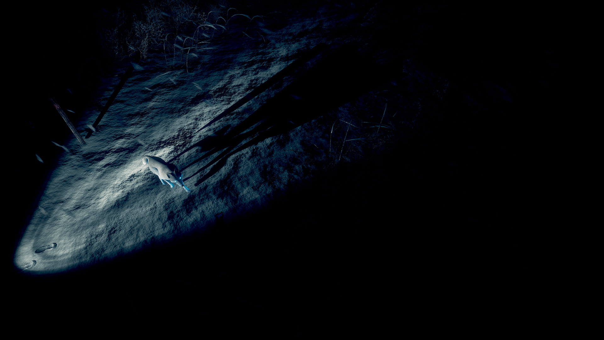 Скриншот из игры Kona - 85