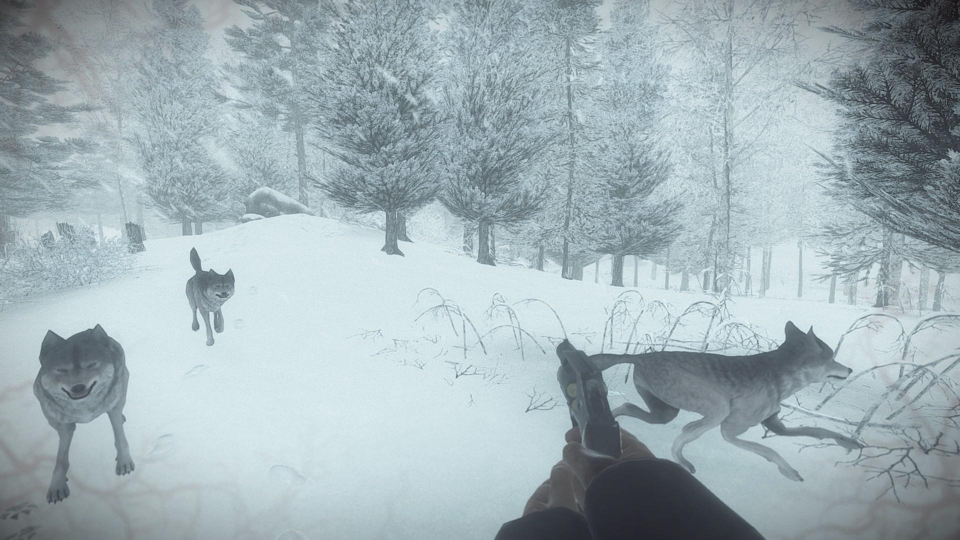 Скриншот из игры Kona - 101