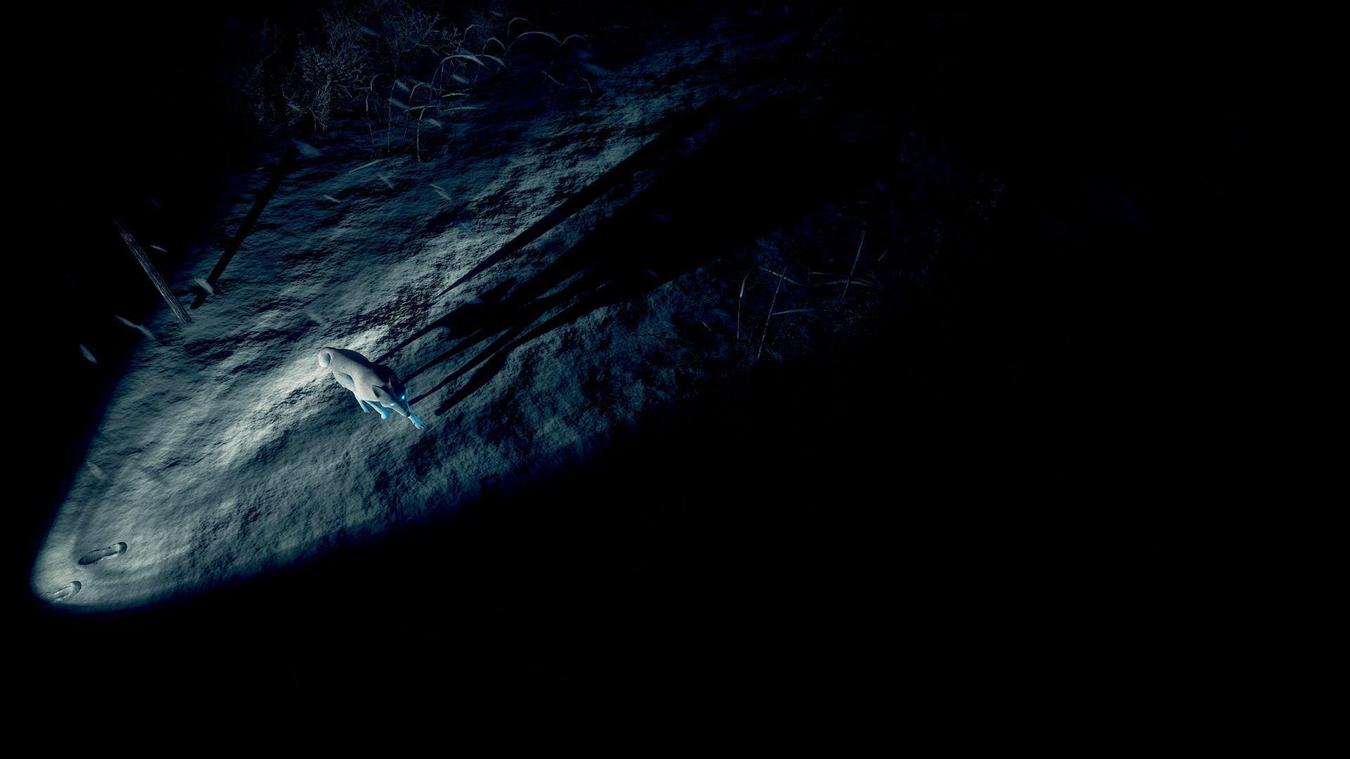 Скриншот из игры Kona - 53